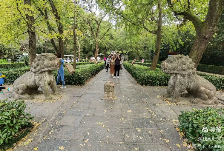 游览钟山风景名胜区